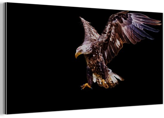 Décoration murale Métal – Peinture Aluminium – Aigle – Aigle – Nuit – Vogels – 160×80 cm – Dibond