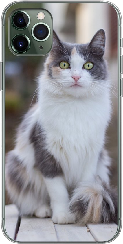 Coque iPhone 11 Pro Max – Chat – Portrait – Table – Siliconen