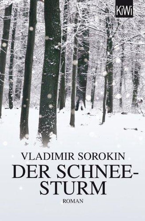 Der Schneesturm
