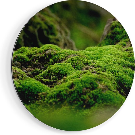 Cercle Mural Artaza Dibond – Vert Mousse – Ø 40 cm – Klein – Cercle Mural – Tableau Rond – Pour Intérieur et Extérieur