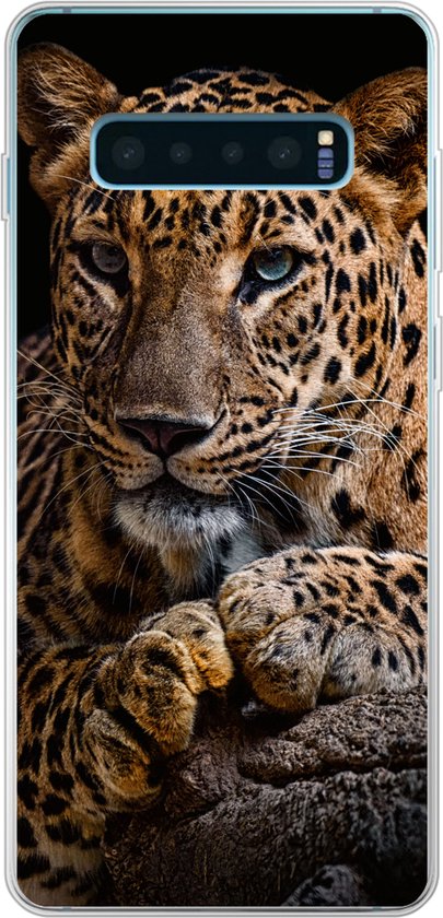 Coque Samsung Galaxy S10 Plus – Animaux sauvages – Panthère – Portrait – Zwart – Animaux – Coque de téléphone en Siliconen