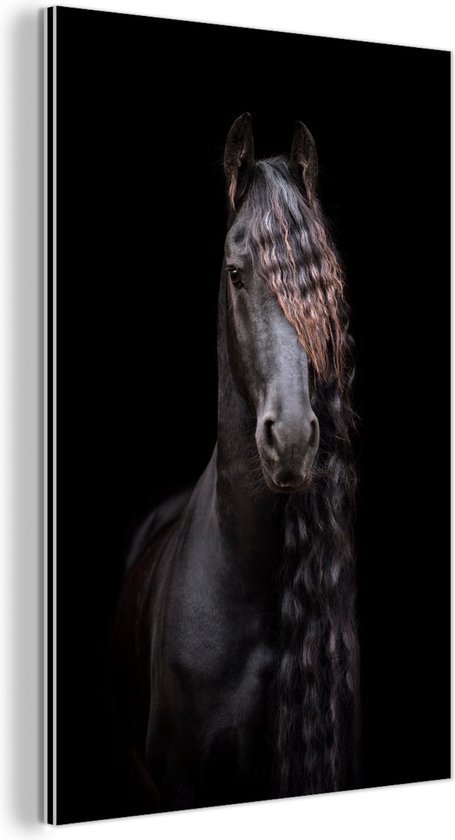 Décoration murale Métal – Peinture Aluminium – Cheval – Frison – Crinière – 60×90 cm