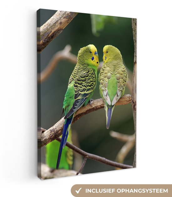 Deux perruches dans un arbre Toile 80×120 cm – Tirage photo sur toile (Décoration murale salon / chambre)
