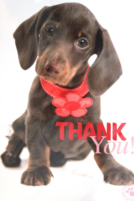 Carte de vœux de luxe Merci – Thank You – By Myrna – Chien Chiot – 14,5x21cm – Carte double – Avec enveloppe – Carte de vœux de luxe – Greeting Card – 1 pièce – Emballée sous film – Merci – Thanks – Danke – Merci – Dank – Livraison gratuite
