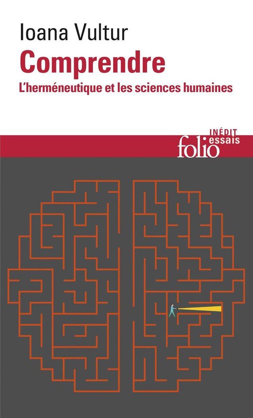 Comprendre. L&rsquo;herméneutique et les sciences humainesEbook