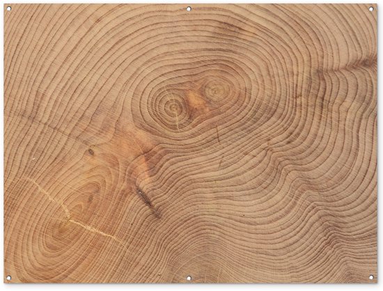 Décoration murale extérieur Fond de la structure en planches de bois – 160×120 cm – Toile jardin