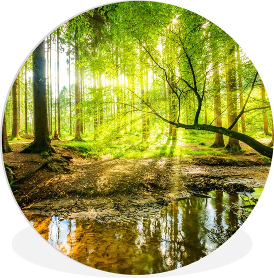 Cercle mural – Plastique – Forêt – Soleil – Rivière – Décoration murale ronde – Cercle mural – Cercle mural intérieur – 60×60 cm – Tableau rond – Cercle mural nature