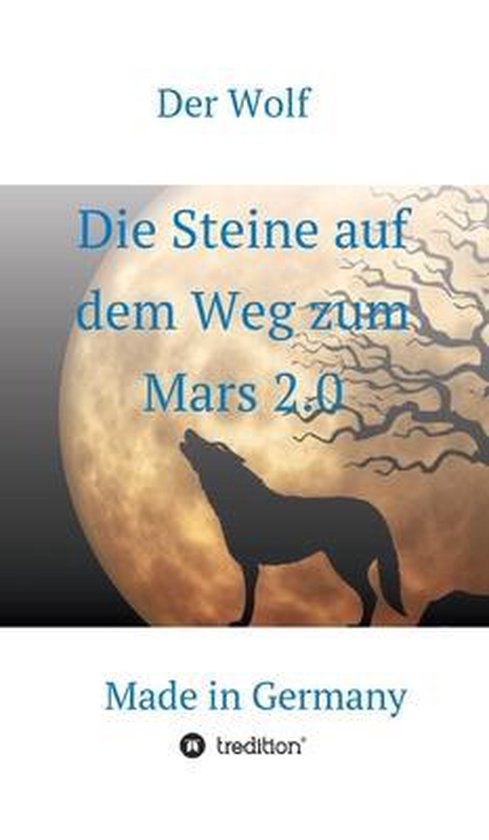 Die Steine auf dem Weg zum Mars 2.0 Made in Germany