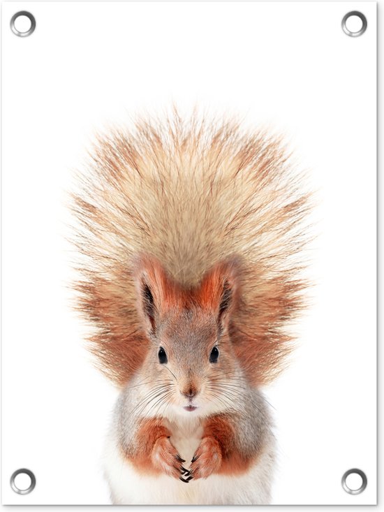 Décoration de Jardin Ecureuil – Animaux – Nature – Oranje – Wit – 40×30 cm