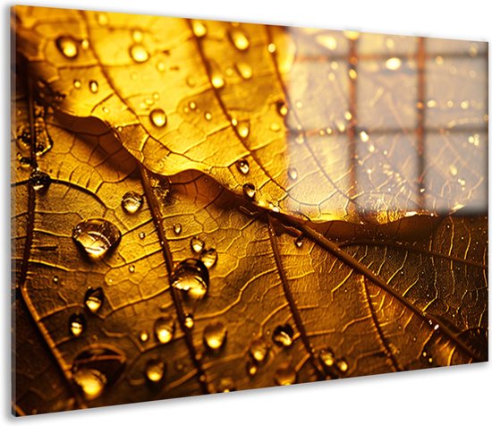 Décoration murale Feuille – Tableau nature sur verre – Tableau Gouttes – Décoration salon industriel – Tableaux plexiglas – Peintures & posters verre acrylique 60×40 cm