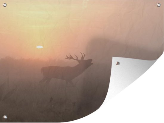 Décoration de Jardin Cerf – Soleil – Brouillard – 40×30 cm – Toile de jardin – Poster extérieur