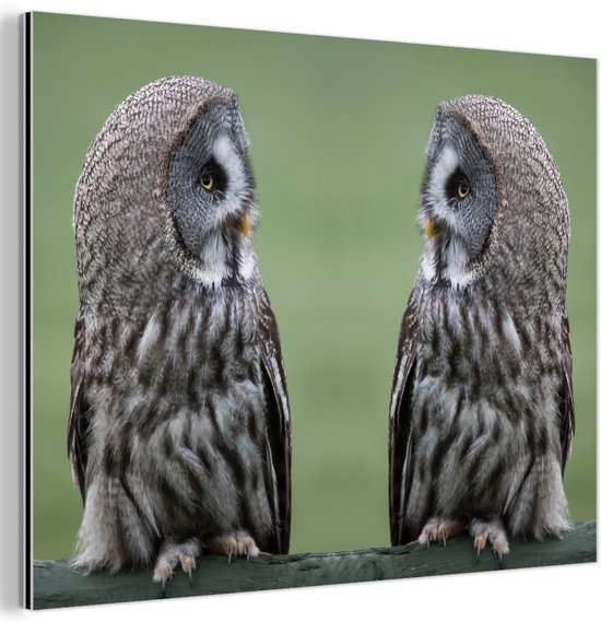 Décoration murale Métal – Peinture Aluminium Industriel – Grandes chouettes grises – 160×120 cm – Dibond – Photo sur aluminium – Décoration murale industrielle – Pour le salon/chambre