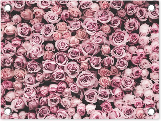 Décoration de Jardin Fleurs – Roses – Nature – Rose – Botanique – 40×30 cm