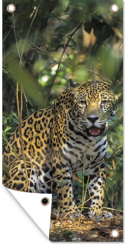 Décoration murale murale d&rsquo;extérieur Jaguar caché dans la jungle – 80×160 cm – Toile de jardin
