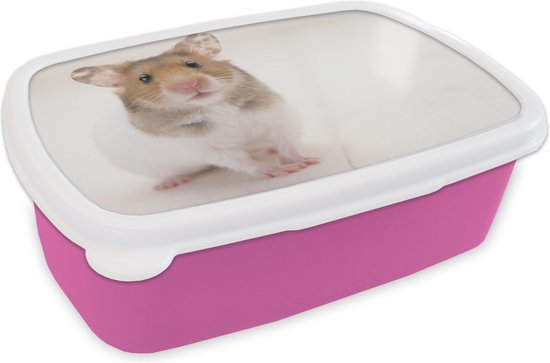 Boîte à lunch Rose – Boîte à lunch – Boîte à pain – Hamster brun-blanc debout – 18x12x6 cm – Enfants – Fille – Cadeau Sinterklaas – Distribution de cadeaux pour enfants – Chaussures cadeaux Sinterklaas