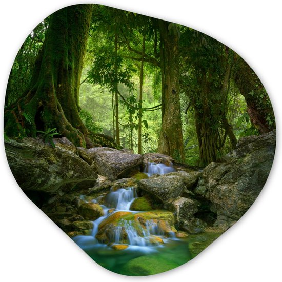 Décoration murale Organique – Décoration murale Plastique – Peinture Organique – Jungle – Pierres – Water – Nature – Plantes- 60×60 cm – Forme Miroir Organique sur Plastique
