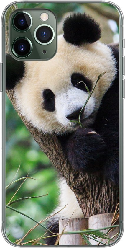 Coque iPhone 11 Pro – Panda – Puppy – Arbre – Siliconen