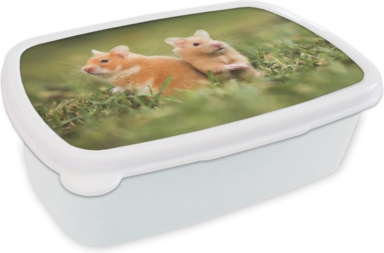 Boîte à pain Wit – Boîte à lunch – Boîte à pain – Hamsters dorés – 18x12x6 cm – Adultes