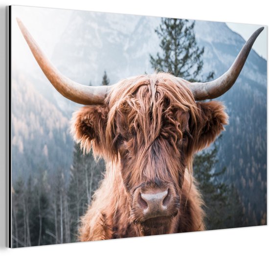 Décoration murale Métal – Peinture Aluminium Industriel – Highlander écossais – Montagnes – Portrait – 180×120 cm – Dibond – Photo sur aluminium – Décoration murale industrielle – Pour le salon / chambre