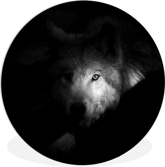 Cercle mural – Plastique – un loup arctique – noir et blanc – ⌀ 90 cm – Cercle mural