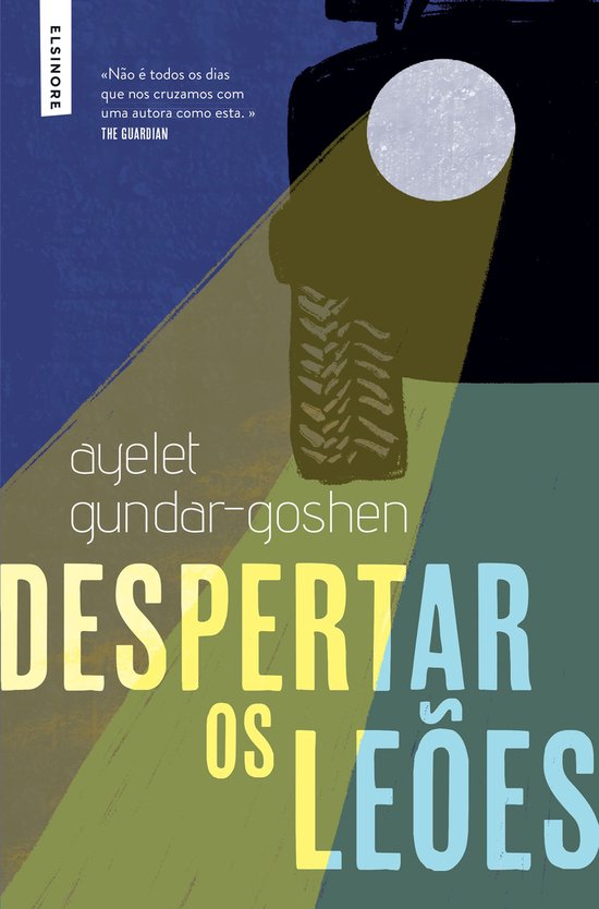 Despertar os LeõesEbook