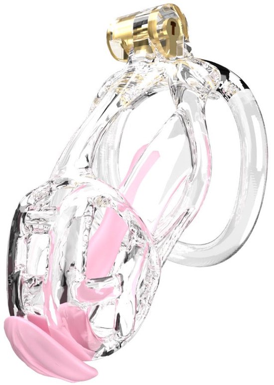 Cellmate – Guardian – Cage de chasteté avec plug pénien – Cage à pénis – Transparent – Taille 2
