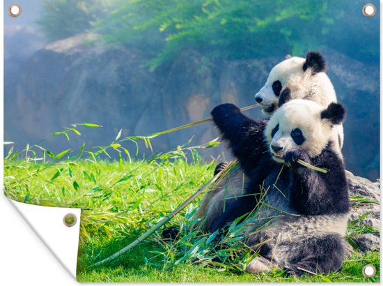 Décoration de Jardin Panda – Bamboe – Herbe – Animaux – 40×30 cm – Toile de jardin – Poster extérieur