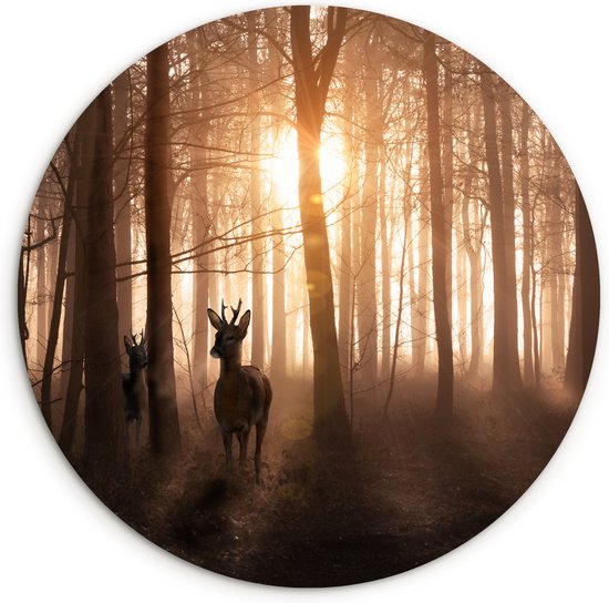 Cercle mural – Plastique – Forêt – Cerf – Nature – Coucher de soleil – Animaux – Cercle mural intérieur – Décoration murale ronde – 90×90 cm – Tableaux ronds – Chambre