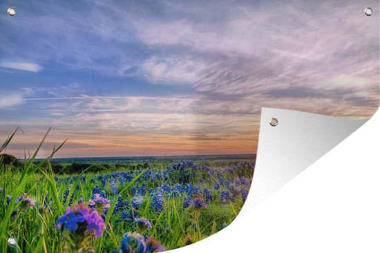 Coucher de soleil sur le paysage du Texas 120×80 cm