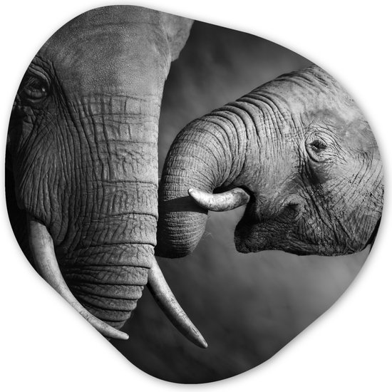 Décoration murale organique – Décoration murale murale en plastique – Peinture organique – Animaux sauvages – Éléphant – Zwart – Wit – Portrait – 60×60 cm – Forme de miroir organique sur plastique