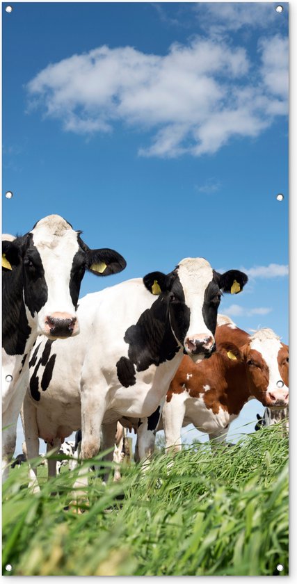 Décoration murale extérieure Vaches – Campagne – Pâturage – Nature – Animaux – 80×160 cm – Toile jardin – Poster extérieur