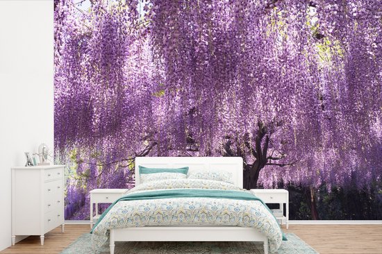 Blooming fotobehang de glycines