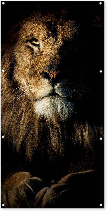 Décoration murale d&rsquo;extérieur Lion – Light – Zwart – 80×160 cm – Toile de jardin – Poster extérieur