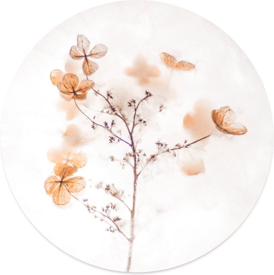 Cercle mural fleur soft Ø 80 cm / Forex