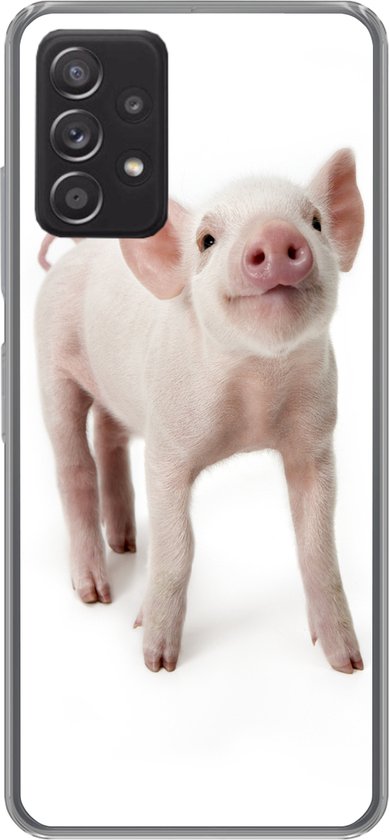 Coque Samsung Galaxy A53 5G – Cochon – Animaux – Wit – Coque de téléphone en Siliconen