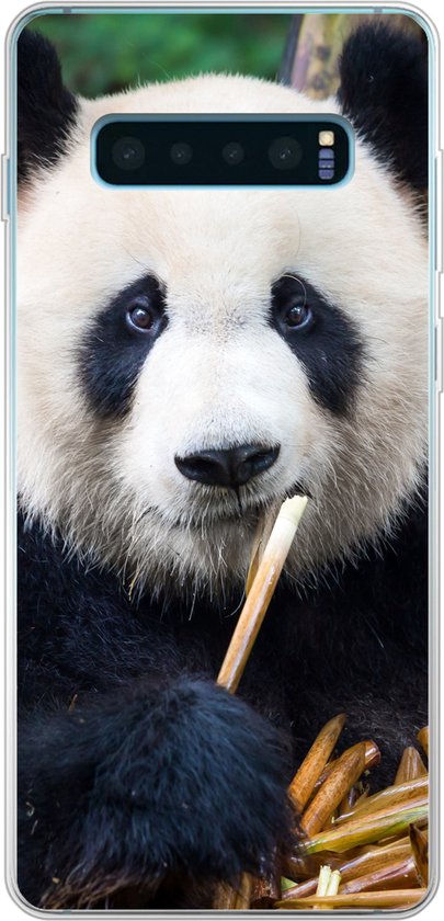 Coque Samsung Galaxy S10 Plus – Panda – Bamboe – Nature – Coque de téléphone en Siliconen