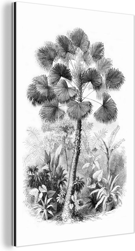 Décoration murale Métal – Peinture Aluminium – Design – Zwart et blanc – Nature – 20×30 cm