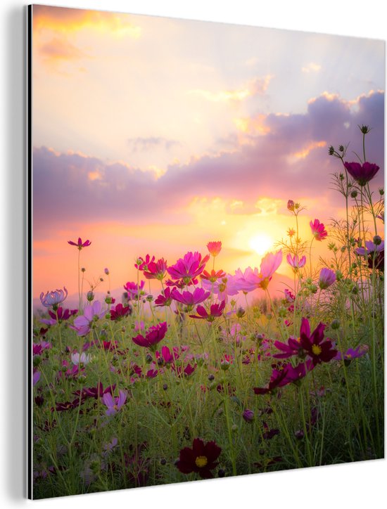 Décoration murale Métal – Peinture Aluminium Industrielle – Fleurs – Rose – Coucher de soleil – Nature – Prairie – Horizon – 20×20 cm – Dibond – Photo sur aluminium – Décoration murale industrielle – Pour le salon / chambre