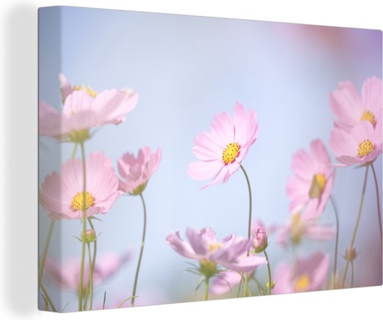 Belles fleurs rose clair Toile 80×60 cm – Tirage photo sur toile (Décoration murale salon / chambre) / Peintures Fleurs sur toile