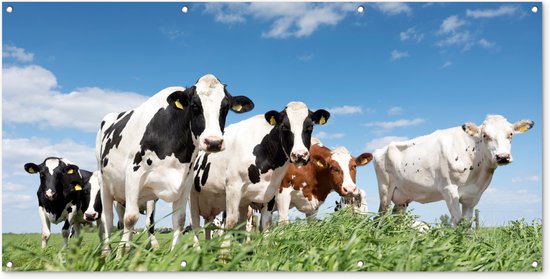 Décoration murale extérieure Vaches – Campagne – Pâturage – Nature – Animaux – 160×80 cm – Toile jardin – Poster extérieur