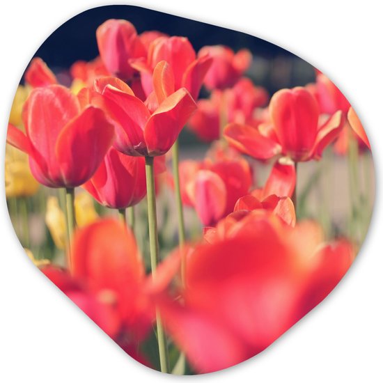 Décoration murale Organique – Décoration murale Plastique – Peinture Organique – Tulipes – Fleurs – Nature – 60×60 cm – Forme Miroir Organique sur Plastique