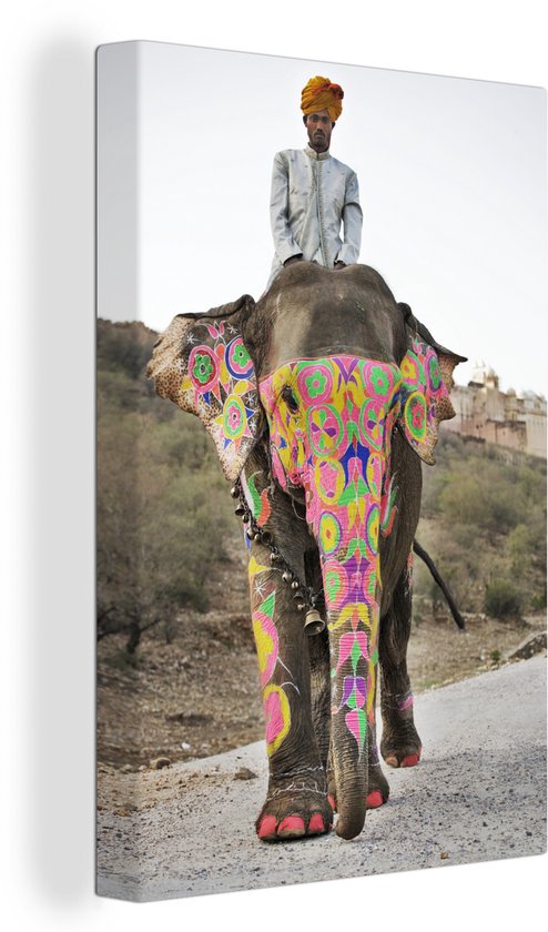 Éléphant coloré en Inde 40×60 cm – Tirage photo sur toile (Décoration murale salon / chambre)
