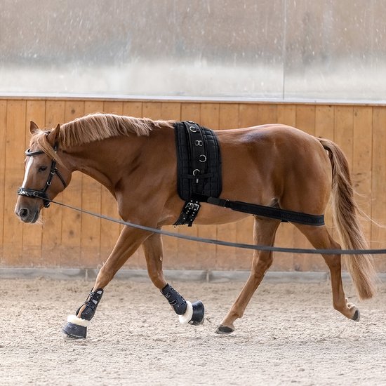 Bandage Corporel Pour Chevaux – Presque Épuisé!