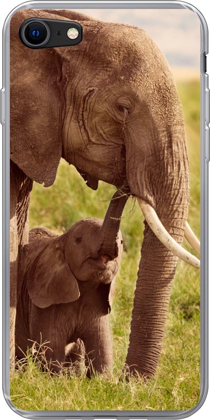 Coque iPhone 8 – Éléphant – Herbe – Jeune – Tronc – Siliconen