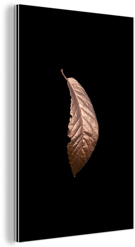 Décoration murale Métal – Aluminium – Feuilles – Or rose – Zwart – 60×90 cm