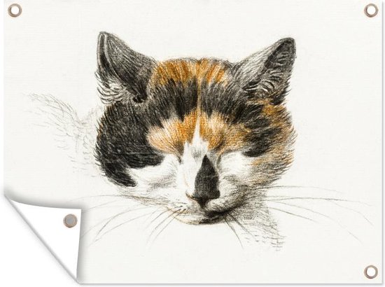 Décoration de Jardin Tête de chat endormi – tableau de Jean Bernard – 40×30 cm