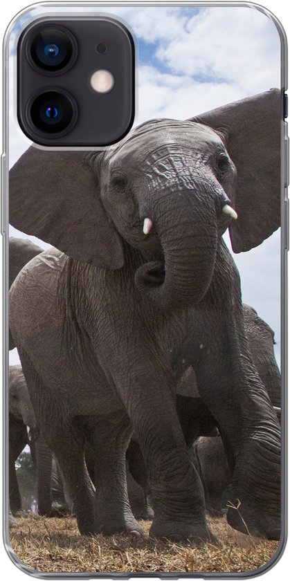 Coque iPhone 12 – Troupeau d&rsquo;éléphants – Siliconen