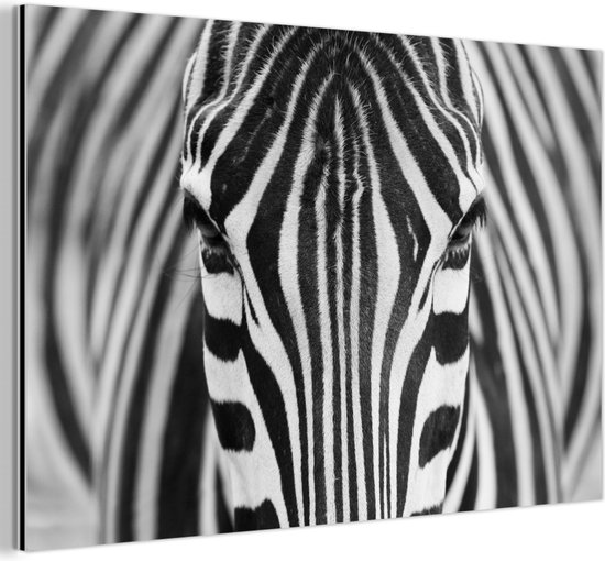 Décoration murale Métal – Aluminium Peinture Industrielle – Zebra – Animaux – Zwart et blanc – Portrait – 120×80 cm – Dibond – Photo sur aluminium – Décoration murale industrielle – Pour le salon / chambre