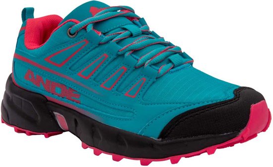 Chaussures de randonnée Ande New Tour Blauw EU 41 Homme