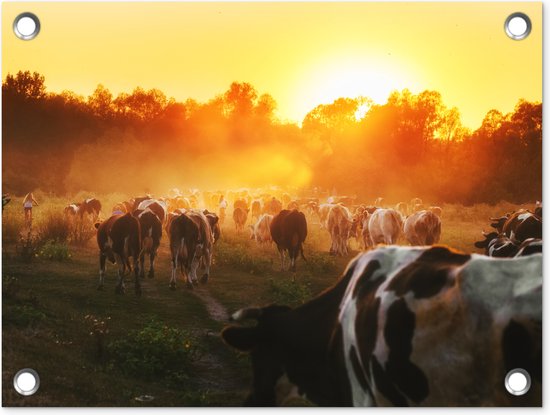 Décoration de Jardin Vaches – Coucher de soleil – Pâturage – Animaux – 40×30 cm – Toile de jardin – Poster extérieur